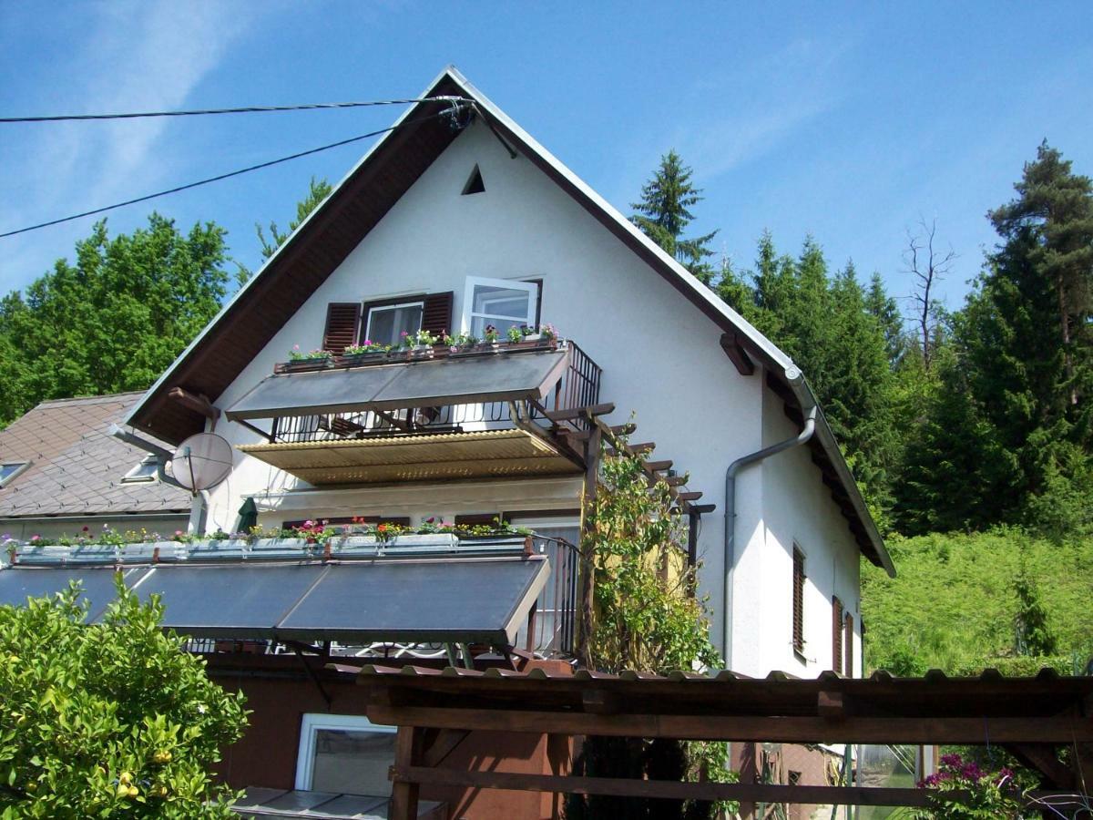 Riedl Gaestewohnung Klagenfurt am Woerthersee Exterior foto